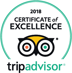 TripAdvisor Logo